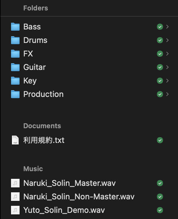 マルチトラックデータ - Solin